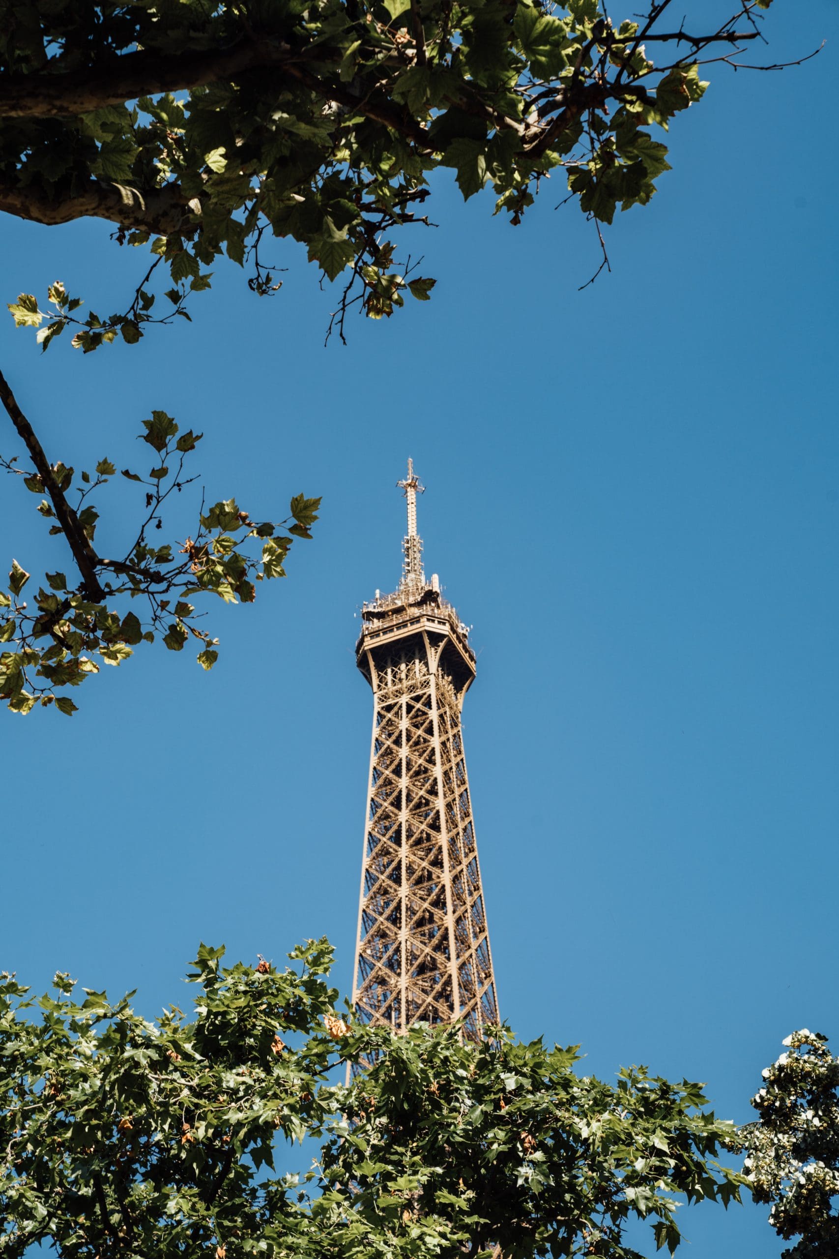 Summer Group at Eiffel Tower-13