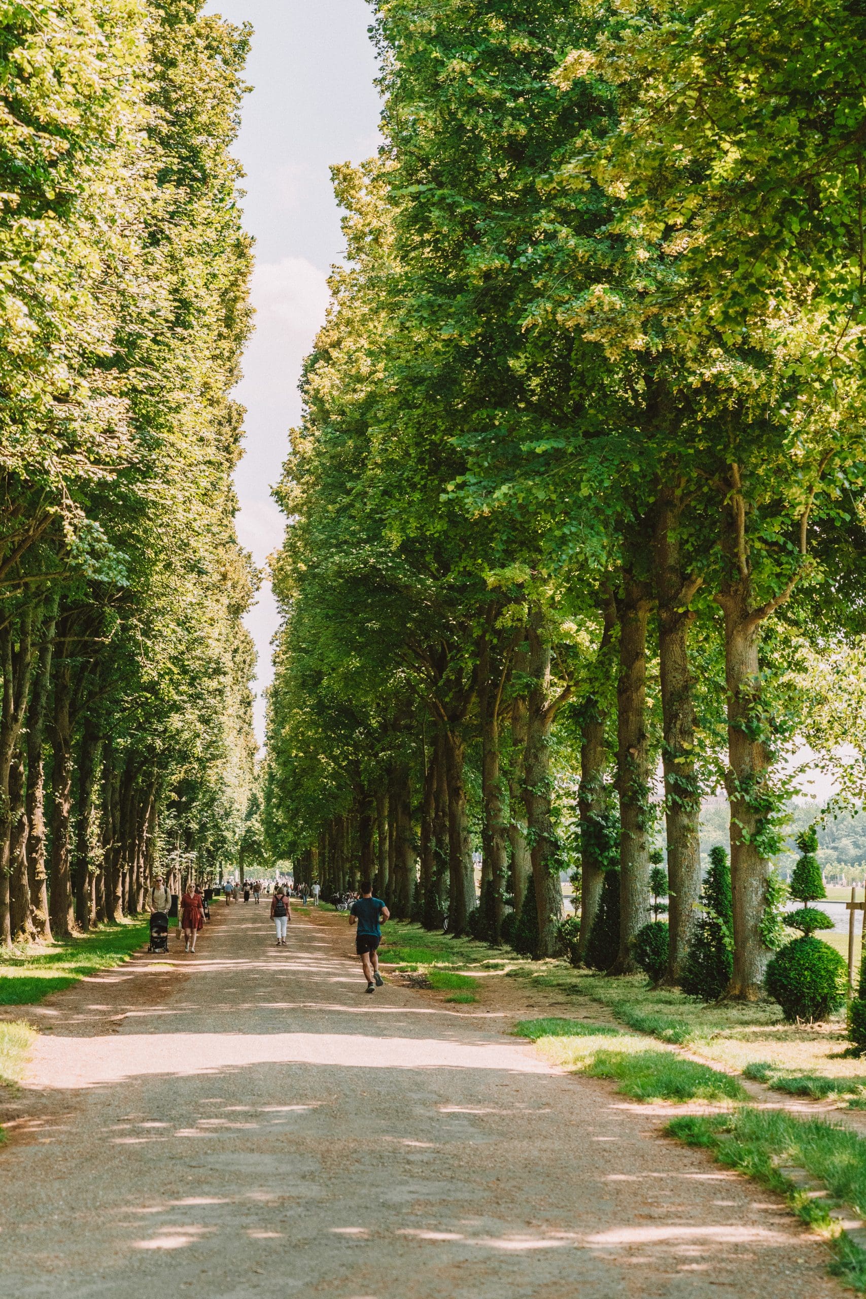 Versailles Group Picnic and Bikes-13
