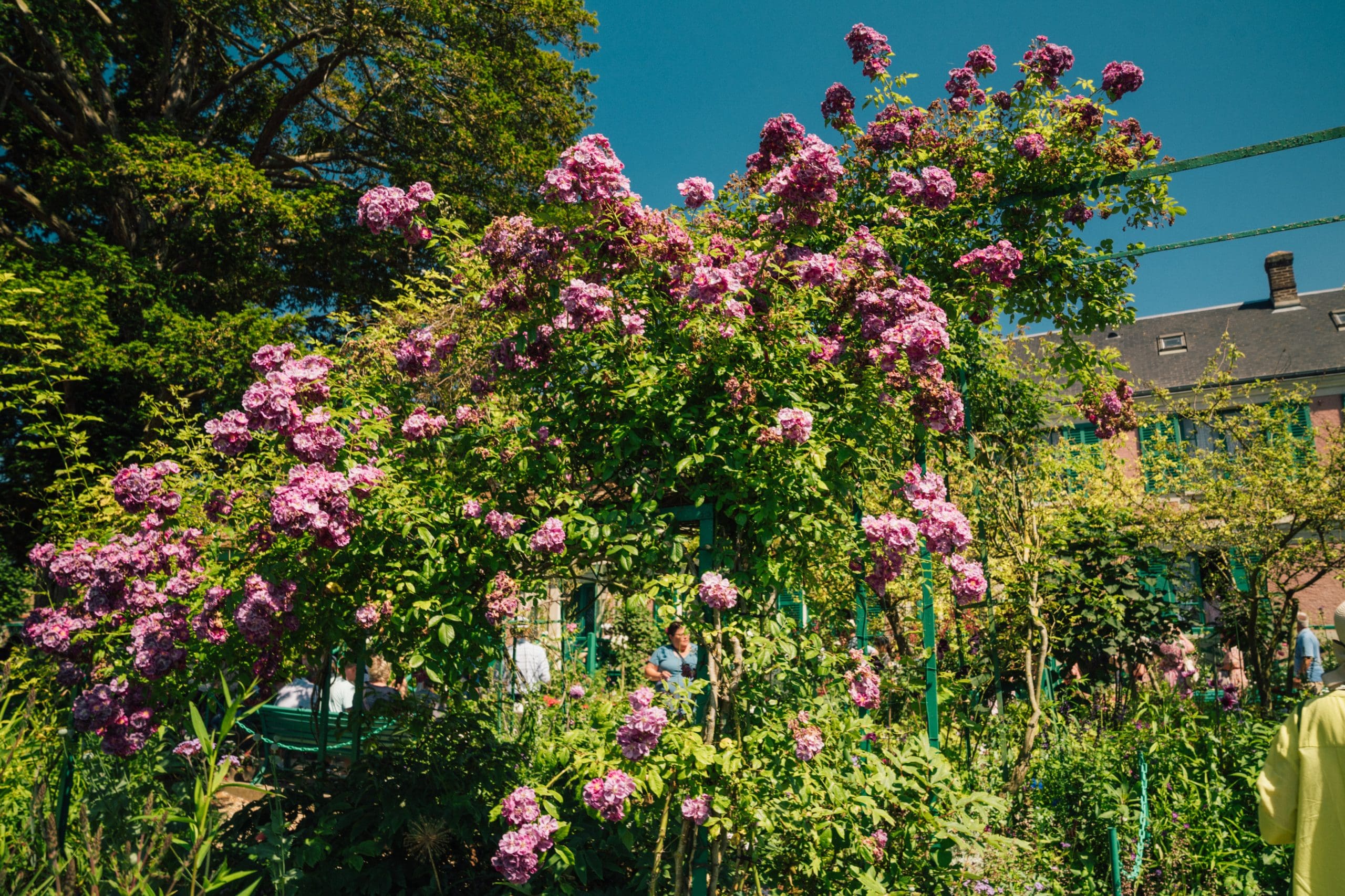 Monet's Gardens and Arches-25 (3)