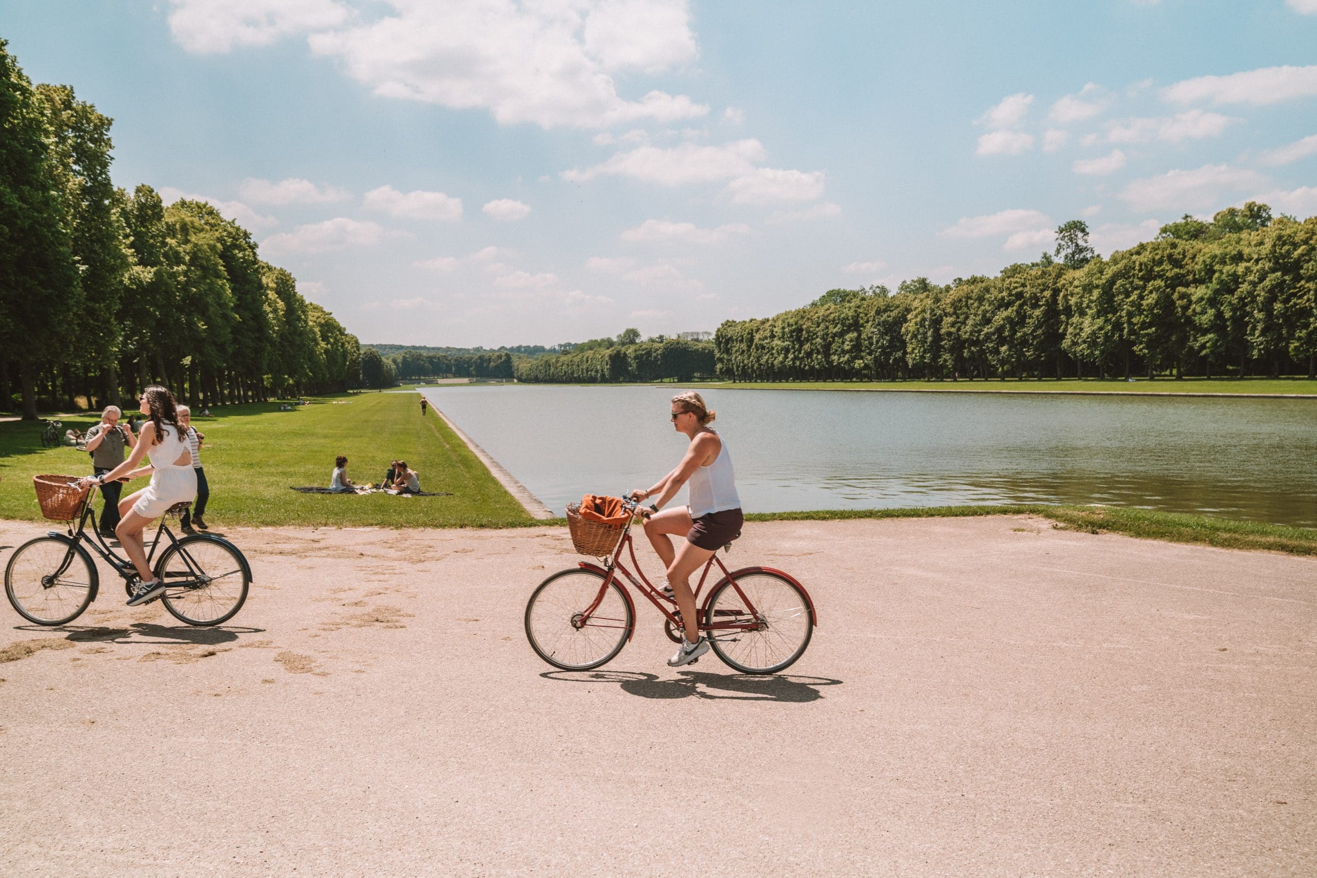 Versailles Ludine's Group Cycling through Trees in Park-26 (1)